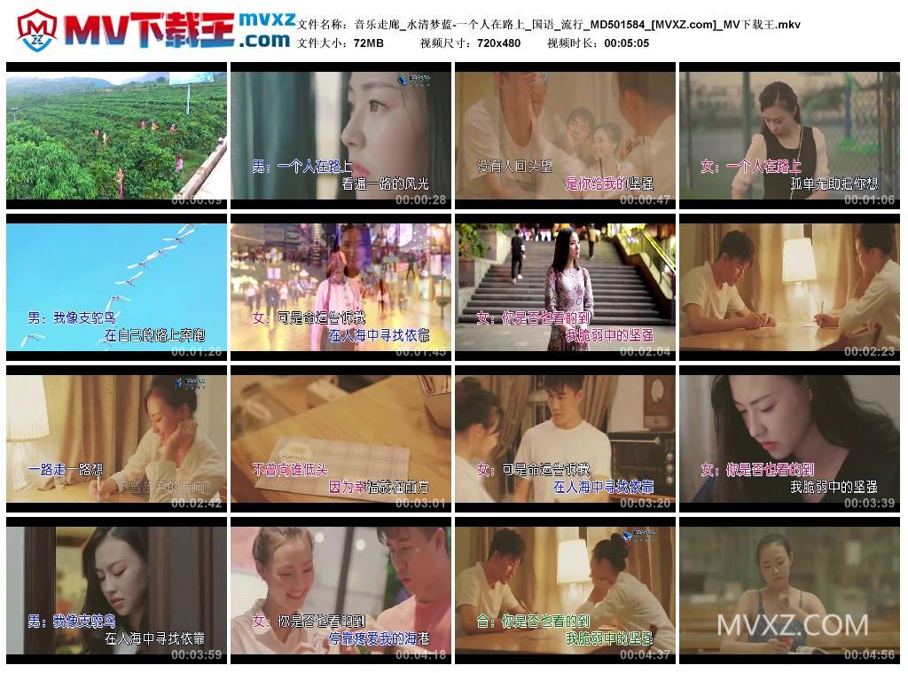 音乐走廊_水清梦蓝-一个人在路上_国语_流行_MD501584